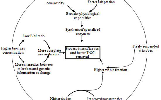 Conceptual schematic of enhanced TrOC removal by MBR (adapted from Hai et al, 2014)