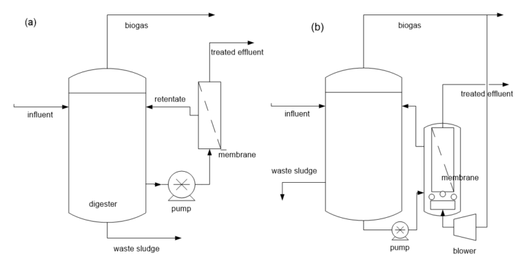 AnMBR configurations, including (a) Sidestream membrane bioreactor (AnsMBR), and (b) Immersed membrane bioreactor (AniMBR)