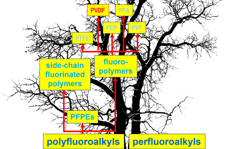 Image of tree with PFAS chemicals overlaid