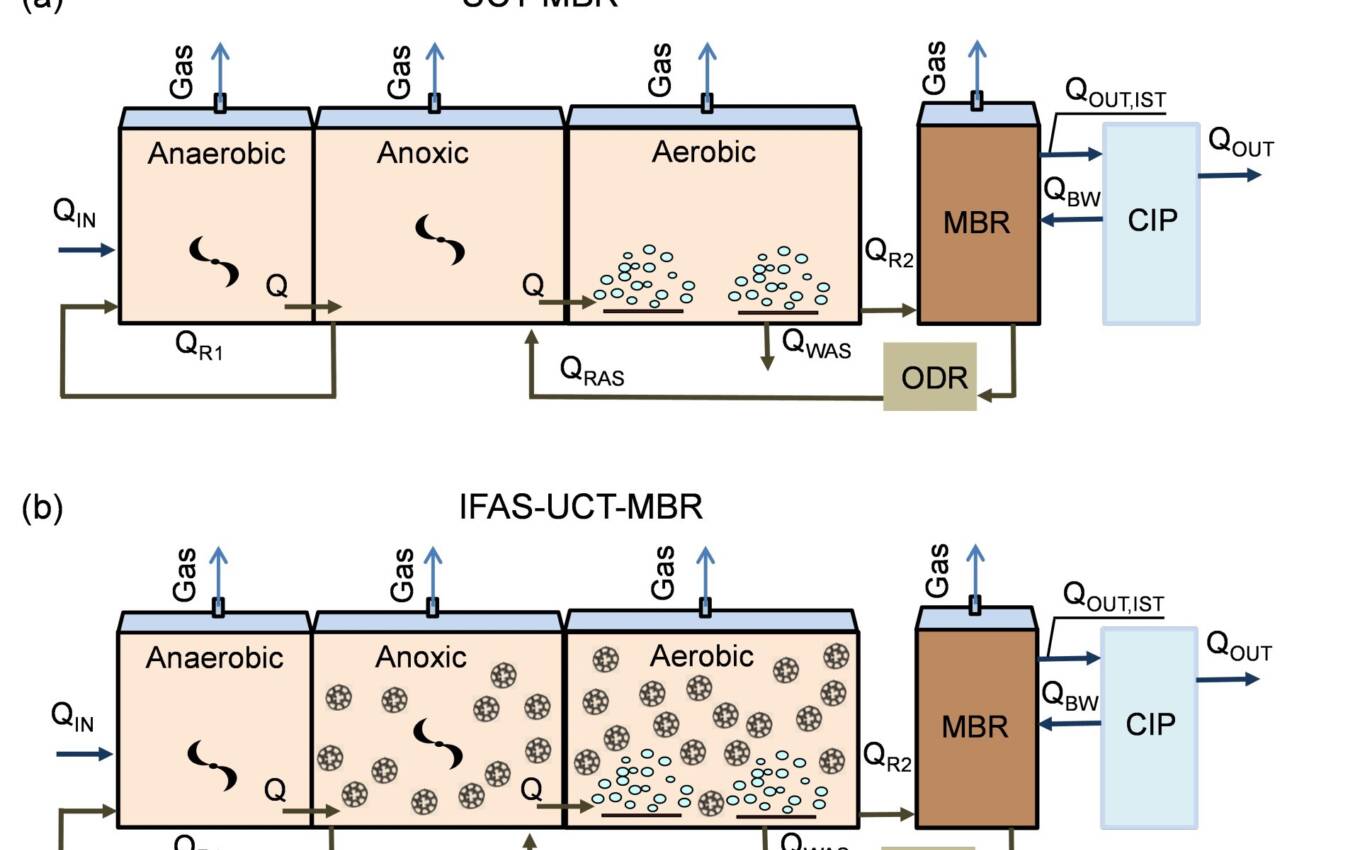 Fig. 2  Configurations of the MBR and IFAS-MBR plants based on the University of Cape Town (UCT) process