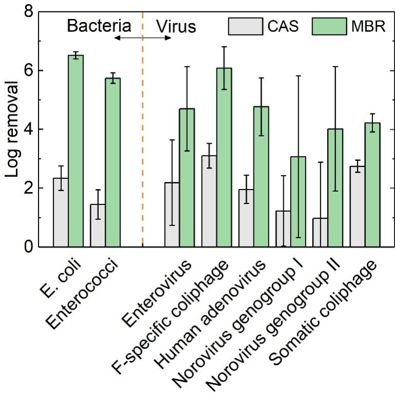 Fig. 7.  Removal of pathogenic bacteria and viruses, CAS vs. MBRs, based on published data for full-scale installations