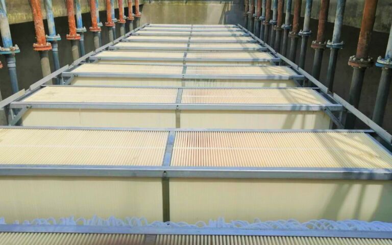M Rising Sun FS cassettes in tank