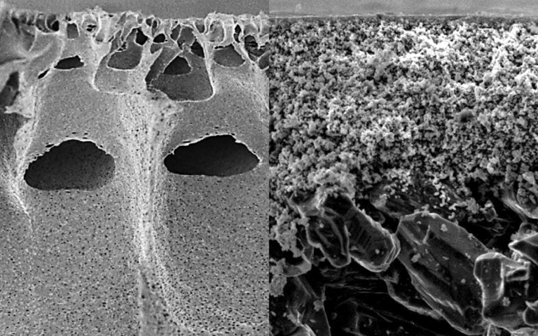 M SINAP Cembrane SEM