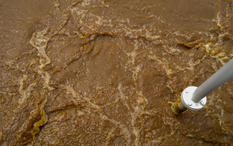 Stirred sludge in an activated sludge process tank