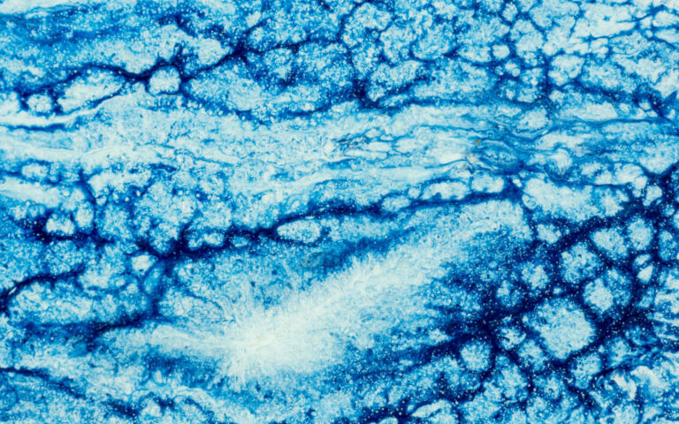 Abstract image of what looks like dried sludge. The colouring is blue and white.